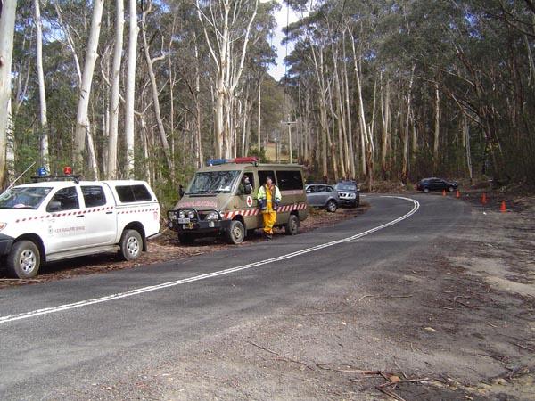 1a bush trail 0811.jpg